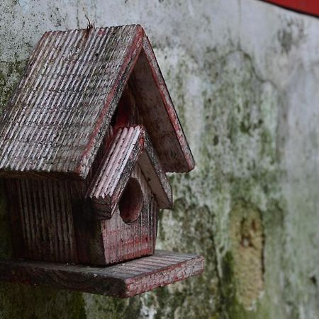 汕头 厝边六号青年旅舍旅舍 外观 照片